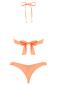 Preview: Bikini Paralia coral