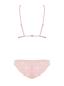 Preview: Delicanta Set rosa